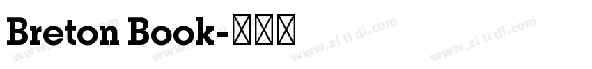 Breton Book字体转换